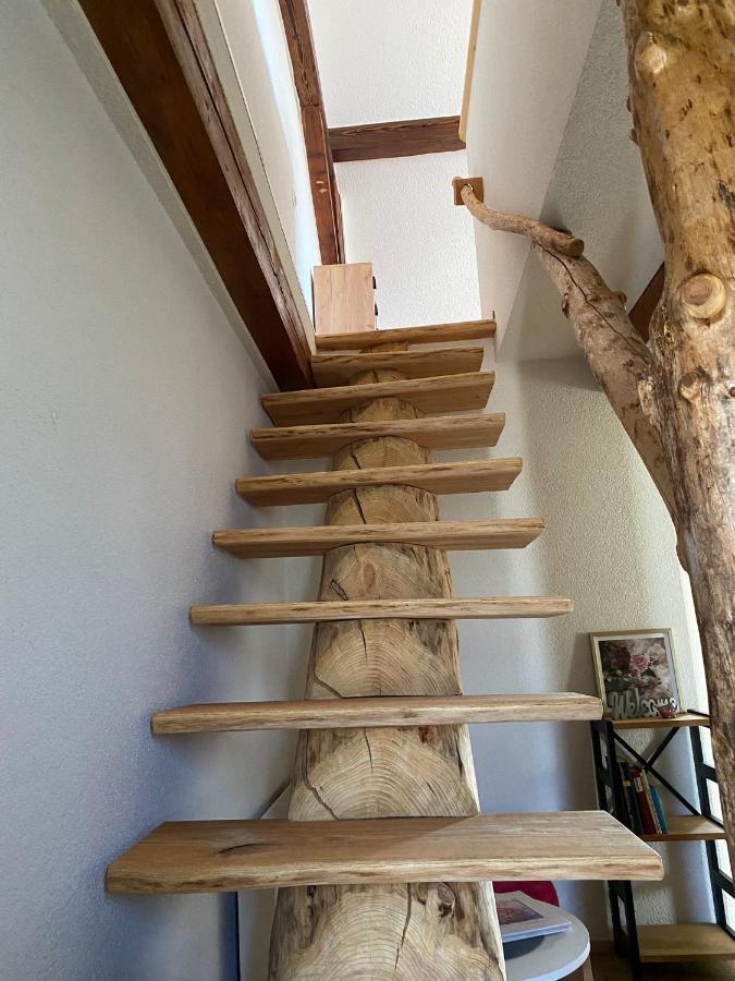 Ferienwohnung An Der Unditz 3 Neuried  エクステリア 写真